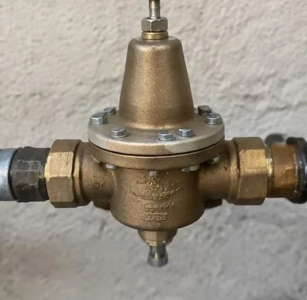 Water heater installed beside a South Florida home — Plumbing in Jupiter