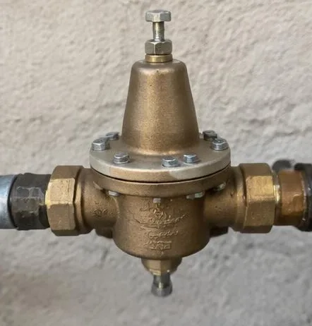 Water heater installed beside a South Florida home — Plumbing in Loxahatchee