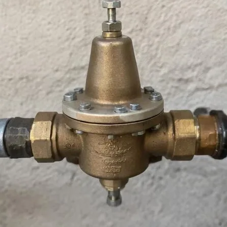 Plumbing equipment and connections at a residential property
